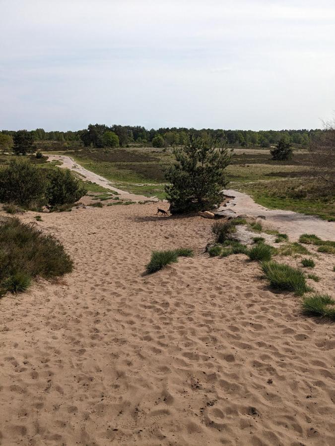 Villa Heimathafen Lathum Esterno foto